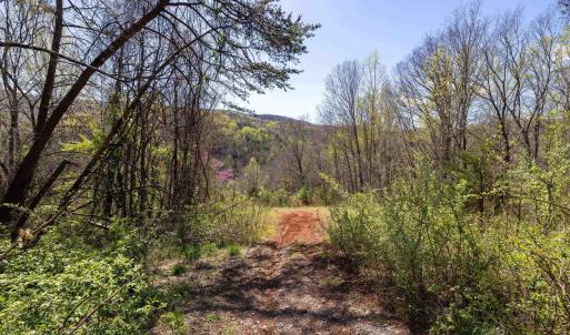Photo #44 of Off JOLLETT RD, ELKTON, VA 18.0 acres