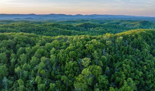 Photo #19 of 1166 MONACAN TRAIL RD, CHARLOTTESVILLE, VA 27.5 acres