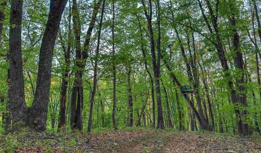 Photo #12 of 1166 MONACAN TRAIL RD, CHARLOTTESVILLE, VA 27.5 acres