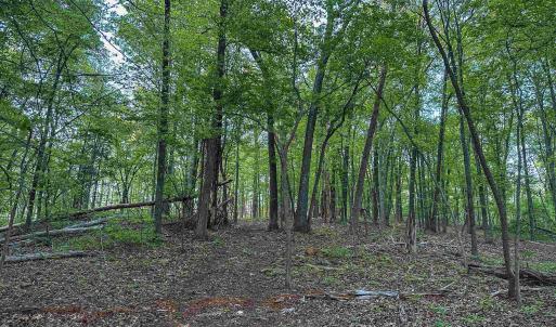 Photo #16 of 1166 MONACAN TRAIL RD, CHARLOTTESVILLE, VA 27.5 acres