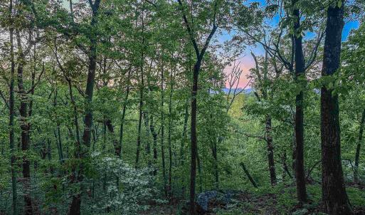 Photo #13 of 1166 MONACAN TRAIL RD, CHARLOTTESVILLE, VA 27.5 acres