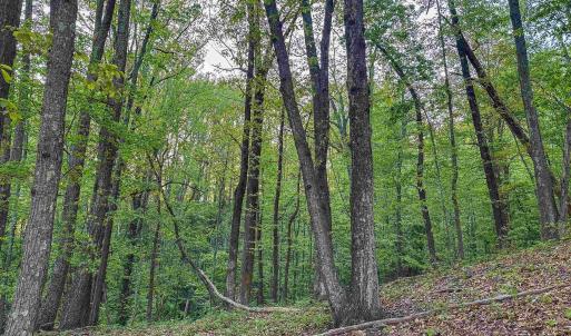 Photo #11 of 1166 MONACAN TRAIL RD, CHARLOTTESVILLE, VA 27.5 acres