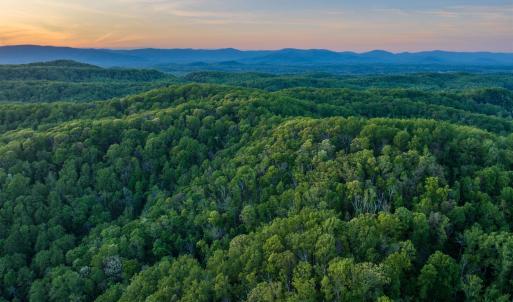 Photo #26 of 1166 MONACAN TRAIL RD, CHARLOTTESVILLE, VA 27.5 acres