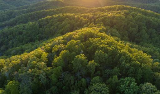 Photo #4 of 1166 MONACAN TRAIL RD, CHARLOTTESVILLE, VA 27.5 acres