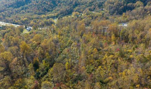Photo #2 of ORCHARD RD, LOVINGSTON, VA 25.0 acres