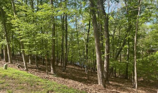 Photo #2 of 69 LAGUNA RD, PALMYRA, VA 0.3 acres
