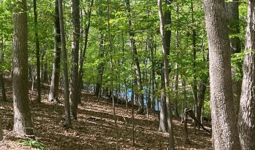 Photo #1 of 69 LAGUNA RD, PALMYRA, VA 0.3 acres