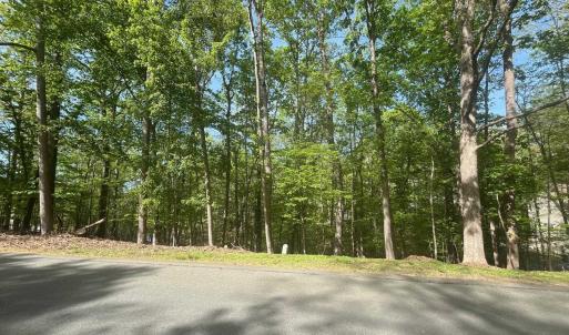 Photo #3 of 69 LAGUNA RD, PALMYRA, VA 0.3 acres