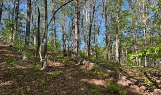 Photo #3 of ALLENS CREEK RD, GLADSTONE, VA 4.3 acres