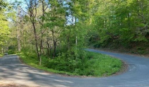 Photo #6 of ALLENS CREEK RD, GLADSTONE, VA 4.3 acres