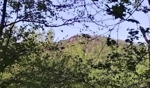 Photo #1 of TBD OLD BLUE RIDGE TPKE, SYRIA, VA 14.1 acres