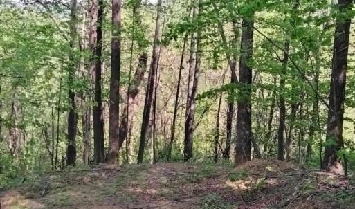 Photo #5 of TBD OLD BLUE RIDGE TPKE, SYRIA, VA 14.1 acres