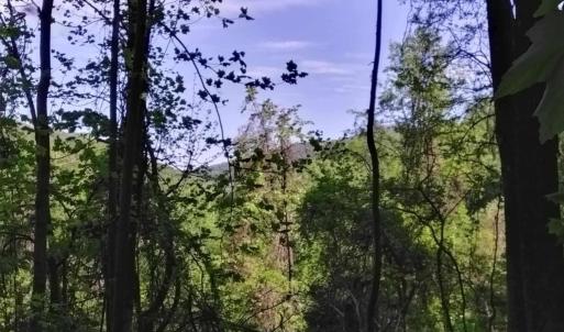 Photo #2 of TBD OLD BLUE RIDGE TPKE, SYRIA, VA 14.1 acres