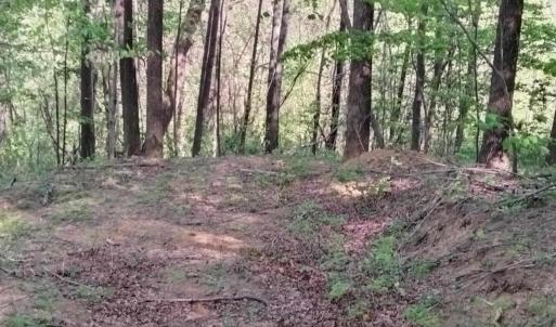 Photo #3 of TBD OLD BLUE RIDGE TPKE, SYRIA, VA 14.1 acres