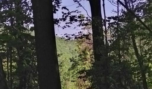 Photo #6 of TBD OLD BLUE RIDGE TPKE, SYRIA, VA 14.1 acres