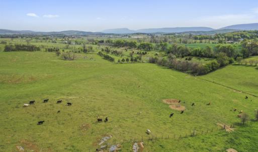 Photo #3 of 14004 AMERICAN LEGION DR, BROADWAY, VA 52.0 acres