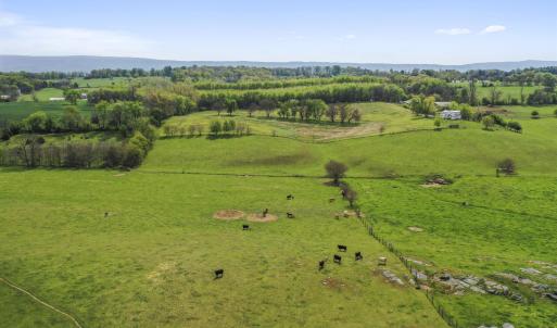 Photo #5 of 14004 AMERICAN LEGION DR, BROADWAY, VA 52.0 acres