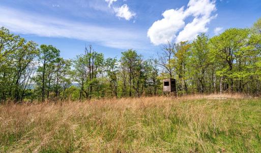 Photo #40 of 01 CUBBAGE HOLLOW RD, STANLEY, VA 225.3 acres