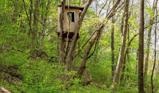 Photo #38 of 01 CUBBAGE HOLLOW RD, STANLEY, VA 225.3 acres