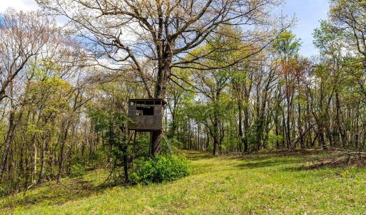 Photo #44 of 01 CUBBAGE HOLLOW RD, STANLEY, VA 225.3 acres