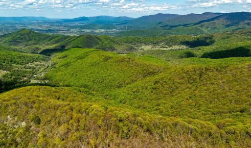Photo #19 of 01 CUBBAGE HOLLOW RD, STANLEY, VA 225.3 acres