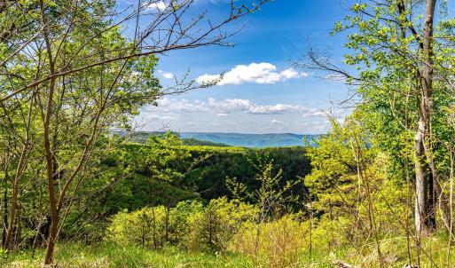 Photo #42 of 01 CUBBAGE HOLLOW RD, STANLEY, VA 225.3 acres
