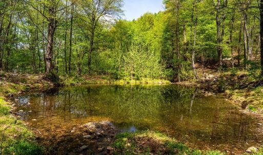 Photo #30 of 01 CUBBAGE HOLLOW RD, STANLEY, VA 225.3 acres