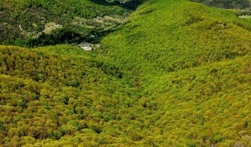 Photo #17 of 01 CUBBAGE HOLLOW RD, STANLEY, VA 225.3 acres
