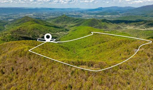 Photo #10 of 01 CUBBAGE HOLLOW RD, STANLEY, VA 225.3 acres