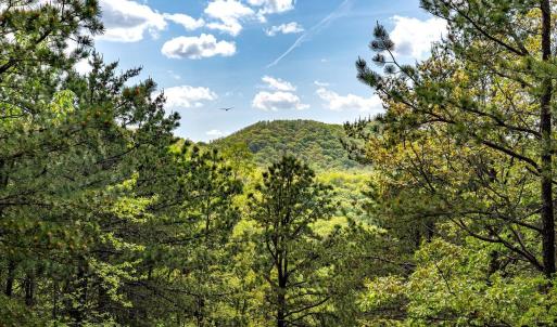 Photo #34 of 01 CUBBAGE HOLLOW RD, STANLEY, VA 225.3 acres