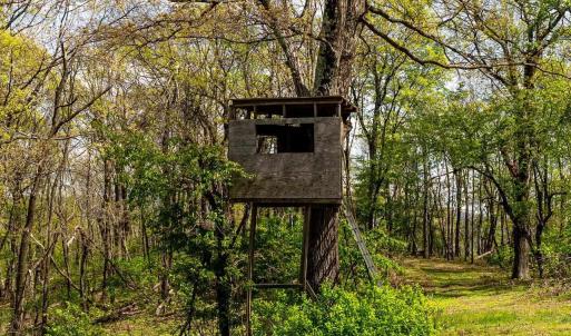 Photo #45 of 01 CUBBAGE HOLLOW RD, STANLEY, VA 225.3 acres