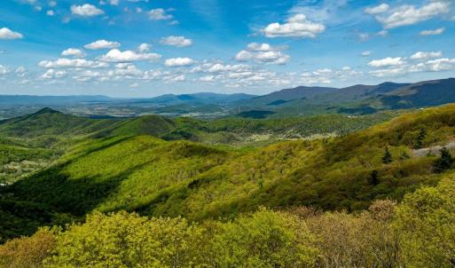 Photo #26 of 01 CUBBAGE HOLLOW RD, STANLEY, VA 225.3 acres