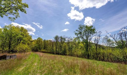 Photo #41 of 01 CUBBAGE HOLLOW RD, STANLEY, VA 225.3 acres