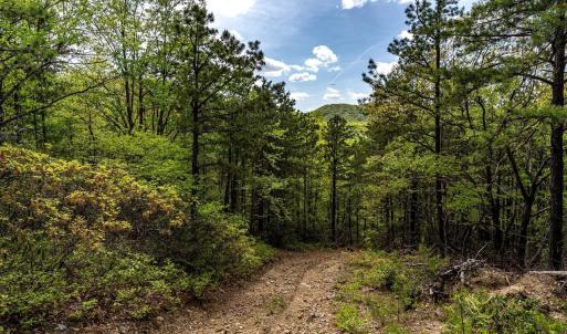 Photo #33 of 01 CUBBAGE HOLLOW RD, STANLEY, VA 225.3 acres