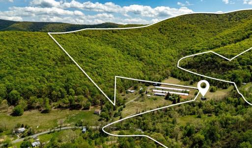 Photo #6 of 01 CUBBAGE HOLLOW RD, STANLEY, VA 225.3 acres