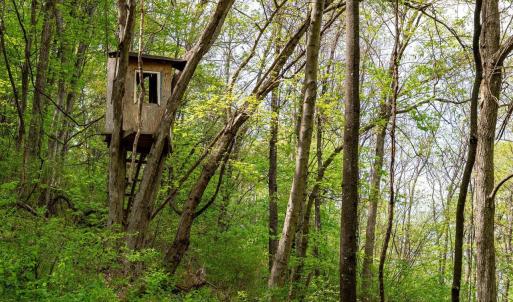 Photo #37 of 01 CUBBAGE HOLLOW RD, STANLEY, VA 225.3 acres
