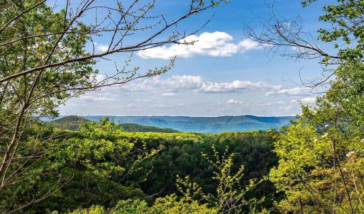 Photo #43 of 01 CUBBAGE HOLLOW RD, STANLEY, VA 225.3 acres
