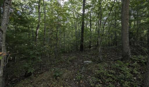 Photo #30 of Lot D3 HOLIDAY HILL RD, LURAY, VA 1.3 acres