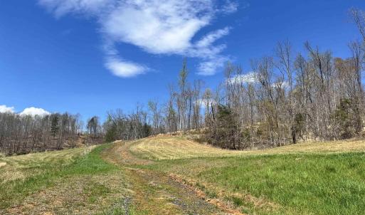 Photo #7 of WILLOW BRANCH LN, FABER, VA 14.8 acres