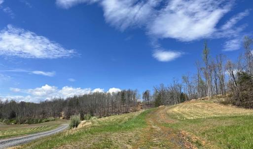 Photo #8 of WILLOW BRANCH LN, FABER, VA 14.8 acres