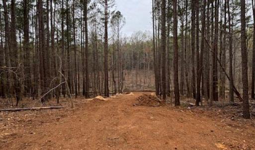 Photo #10 of 018E7 GARTH GATE LN, CHARLOTTESVILLE, VA 21.0 acres