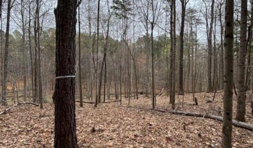 Photo #7 of 018E7 GARTH GATE LN, CHARLOTTESVILLE, VA 21.0 acres