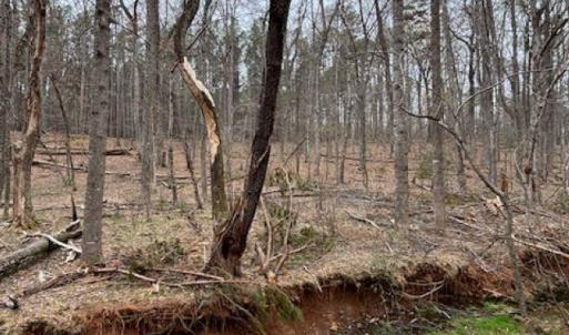 Photo #2 of 018E7 GARTH GATE LN, CHARLOTTESVILLE, VA 21.0 acres