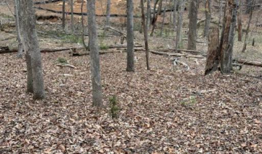 Photo #6 of 018E7 GARTH GATE LN, CHARLOTTESVILLE, VA 21.0 acres
