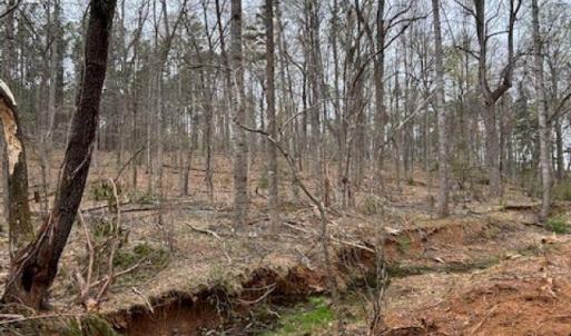 Photo #3 of 018E7 GARTH GATE LN, CHARLOTTESVILLE, VA 21.0 acres