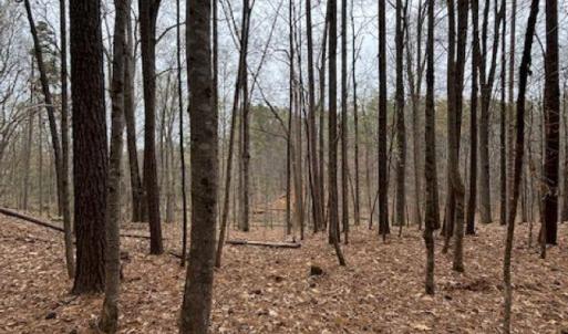 Photo #1 of 018E7 GARTH GATE LN, CHARLOTTESVILLE, VA 21.0 acres