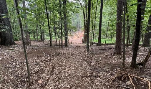Photo #5 of 018E7 GARTH GATE LN, CHARLOTTESVILLE, VA 21.0 acres
