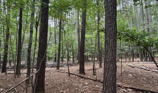 Photo #9 of 018E7 GARTH GATE LN, CHARLOTTESVILLE, VA 21.0 acres