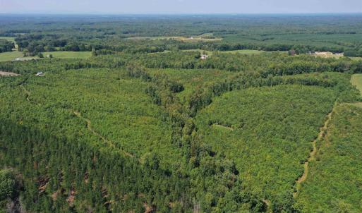 Photo #46 of TBD ANDERSONVILLE RD, DILLWYN, VA 80.0 acres