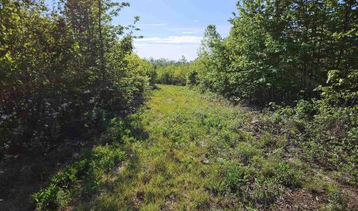 Photo #10 of TBD ANDERSONVILLE RD, DILLWYN, VA 80.0 acres